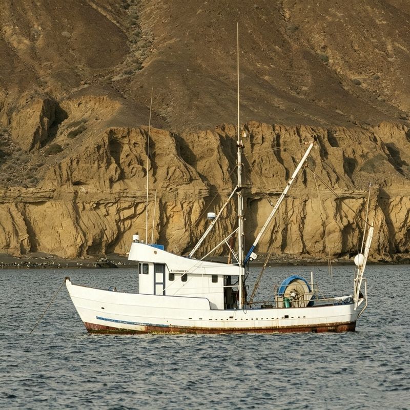 Hecktrawler aus Aluminium